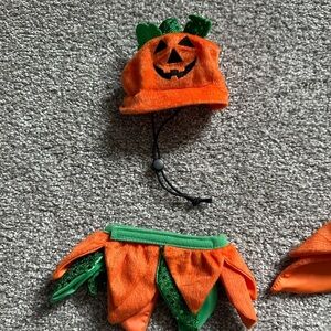 Pet pumpkin costume